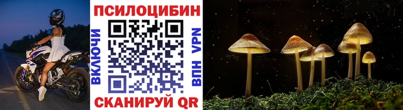 Галлюциногенные грибы мицелий  Мещовск 